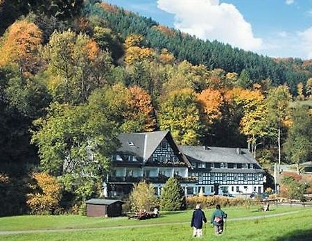 Tommes Gaestehaus Zur Muehle Schmallenberg Exteriér fotografie