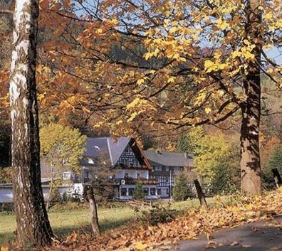Tommes Gaestehaus Zur Muehle Schmallenberg Exteriér fotografie